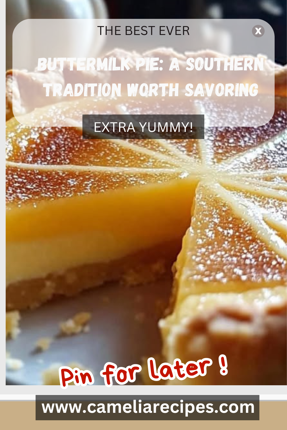 A golden-brown buttermilk pie with a creamy custard filling, sliced and served on a rustic table, representing a traditional Southern dessert recipe.