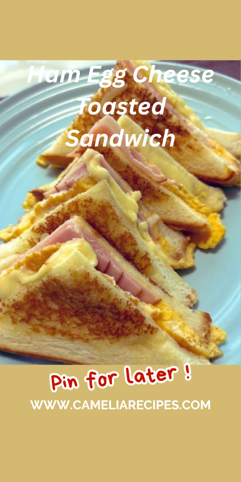 ham egg cheese toasted sandwich on a plate with melted cheese and crispy bread