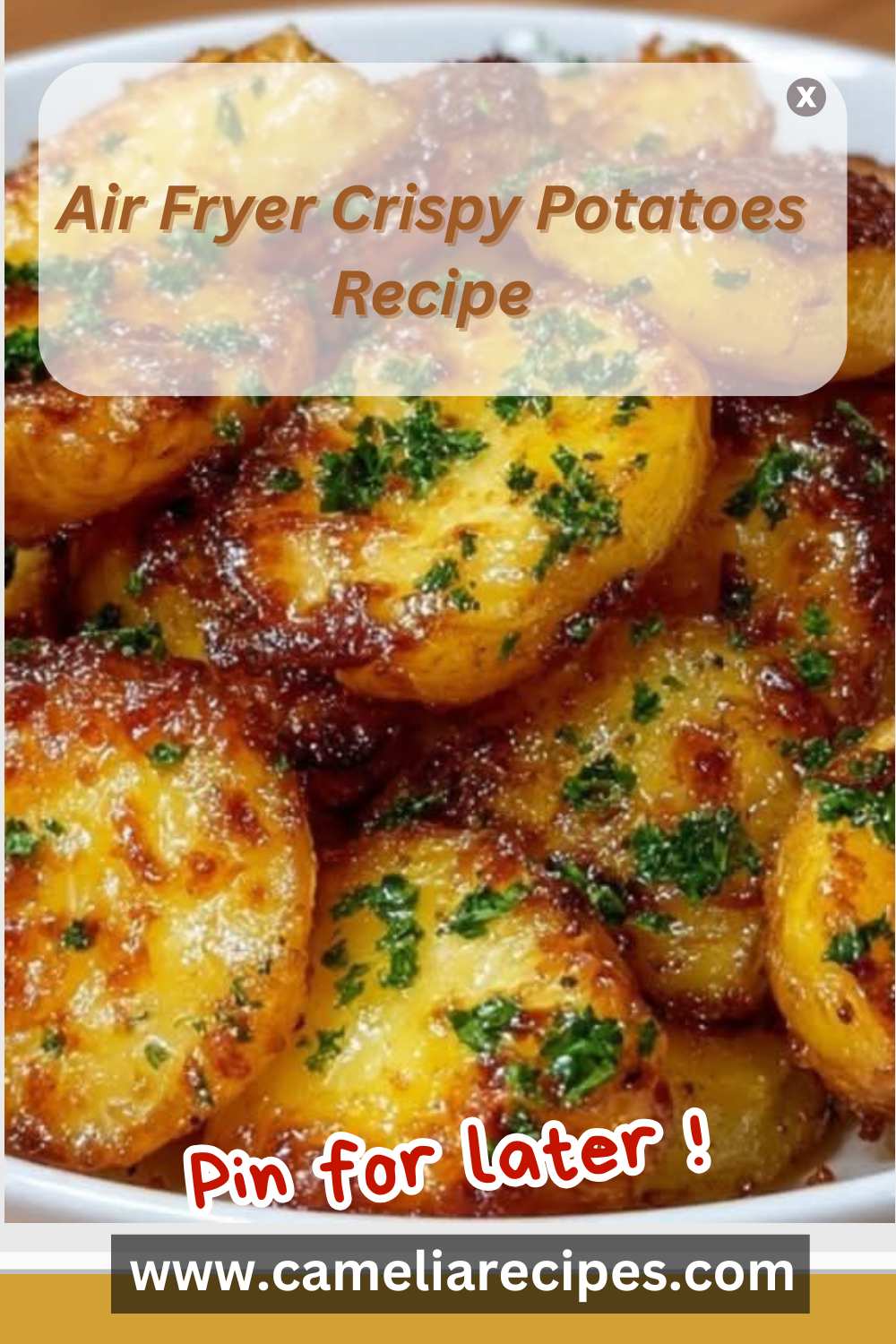 Pommes de terre croustillantes à la friteuse à air dorées, assaisonnées au paprika et ail, servies chaudes